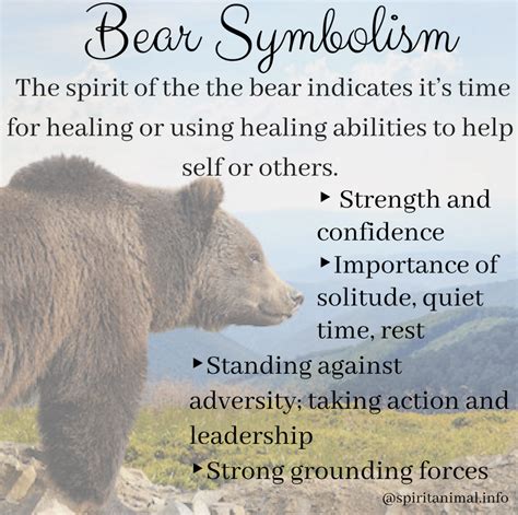 Bear Spirit Animal Meaning Bear Spirit Animal Animal Meanings