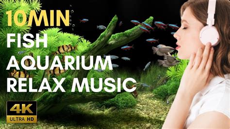 Fish Aquarium Relax Music 10 Min Relaxing Piano Music Youtube