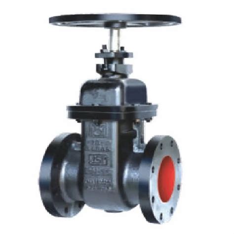 High 20 Mm Cast Iron Double Flange Sluice Valve At Rs 1200 In Chennai