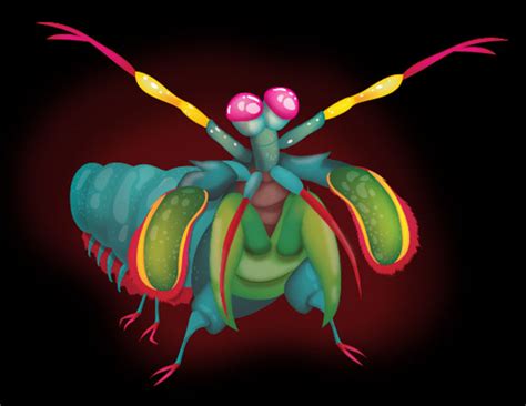 Mantis Shrimp Cartoon Free Download Clip Art Free Clip Art On