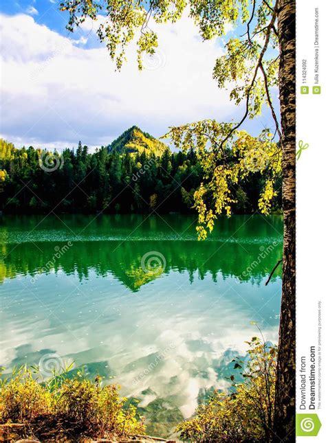 Mountain Autumn Green Siberia Lake With Reflection And The Branch Of A
