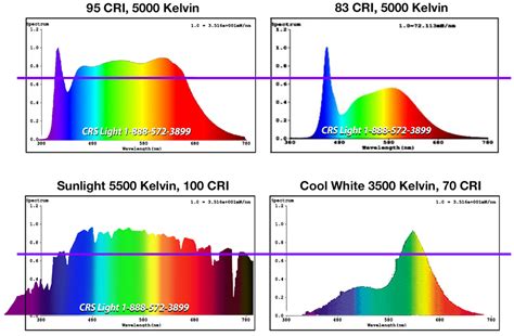 What Is The Best Light Spectrum For Plant Growth