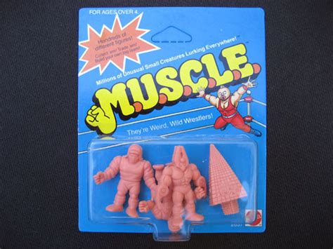 muscle collection