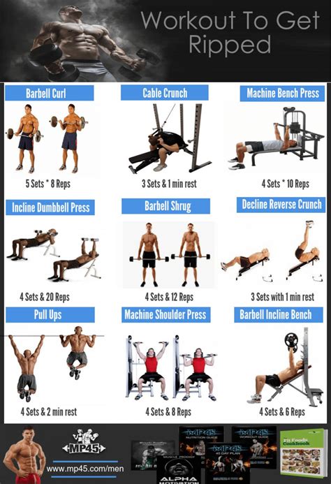 Follow These Top 9 Exercises To Get Ripped Fast By Mp45 Issuu