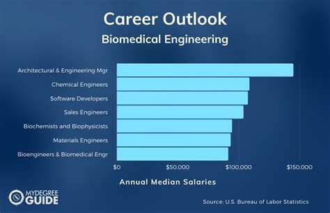 2024 Best Online Masters In Biomedical Engineering