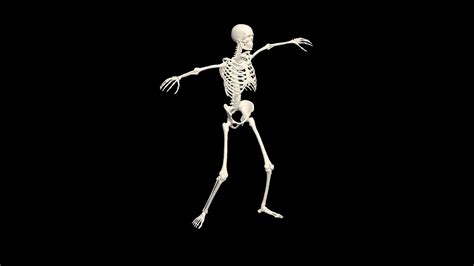 Dancing Skeleton 3d 3d Skeleton Dance Animation Skeleton 3d Dance