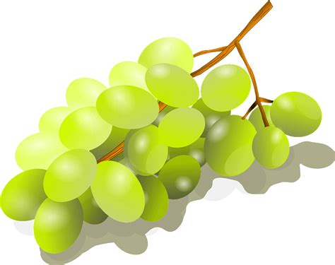 Bunch Of Green Grapes Clipart Free Download Transparent Png Creazilla