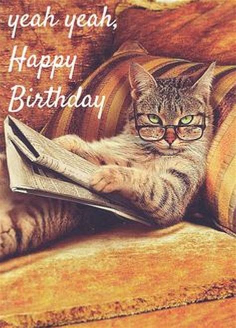 101 Funny Cat Birthday Memes For The Feline Lovers In Your Life In 2020