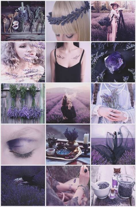 Mirror Of The Magus Witch Aesthetic Witch Aesthetic Collage