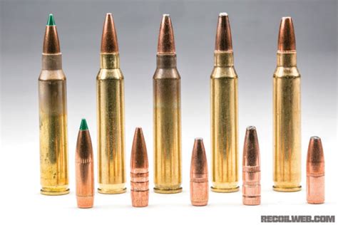 Best Ammo For Short Barreled 556 Nato 2023 By Rob Curtis Global