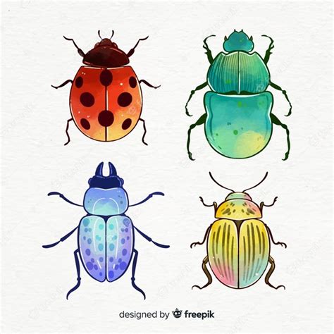 Colorful Insect Collection Vector Free Download