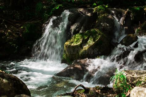 Clear Waterfall In Green Forest Beautiful Nature Landscape Stock Image