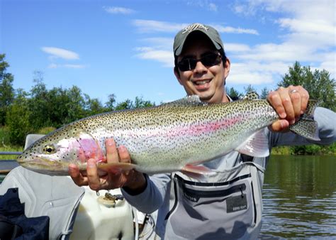 How To Catch Rainbow Trout Tips For Fishing For Rainbow Trout