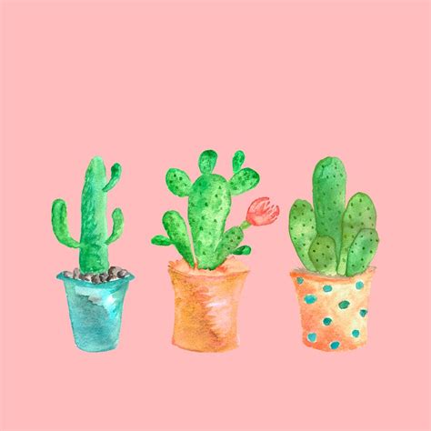 Three Green Cacti On Pink Background Art Print By Lavieclaire X Small