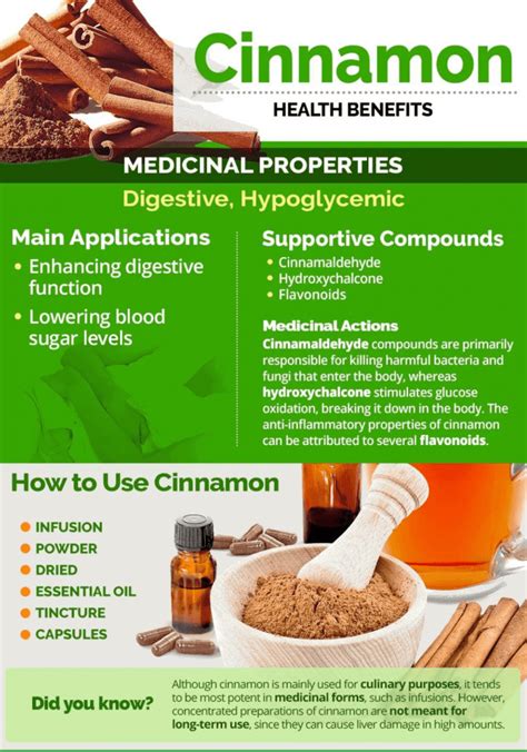 What Are The Health Benefits Of Cinnamon The Ultimate Guide