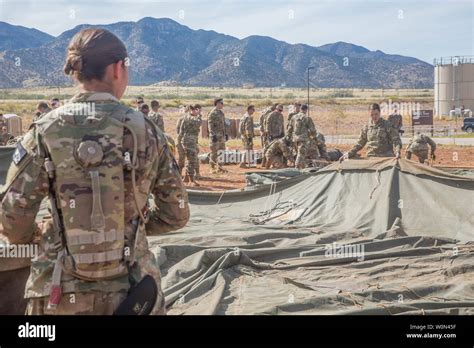 309th Battalion Hi Res Stock Photography And Images Alamy