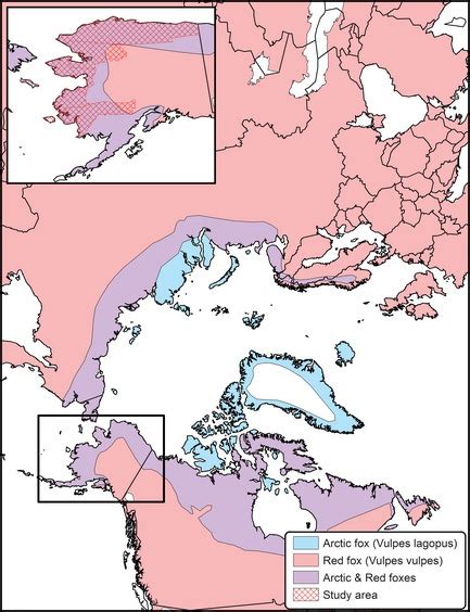 Geographic Distribution Of Arctic And Red Foxes With Study Area