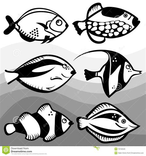fish design vector royalty  stock image image