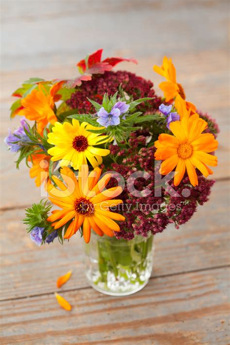 Autumn Bouquet Stock Photo Royalty Free Freeimages