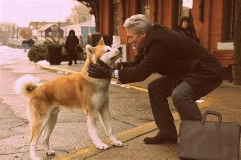 Hachiko Richard Gere Pets Movie Dog Movies Japanese Akita