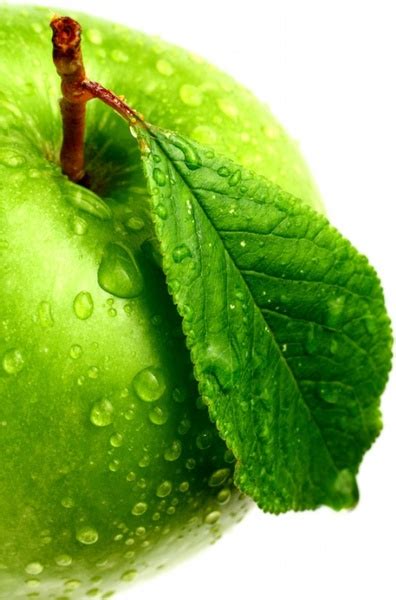 Green Apple 02 Hd Picture Photos In  Format Free And Easy Download