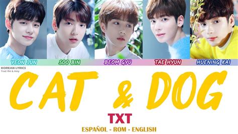 Txt Cat And Dog Lyrics Korean