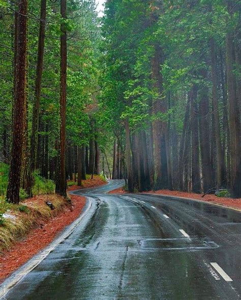 Caminos Paisaje Increibles Fotografia Paisaje Hermosos Paisajes