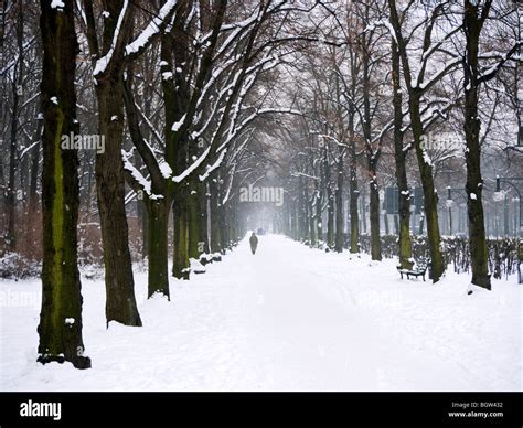 Berlin Tiergarten In Winter Snow Hi Res Stock Photography And Images