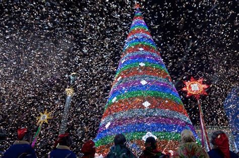 Mysterious Cone Christmas Tree In The Ukraine Photo Christmas Tree