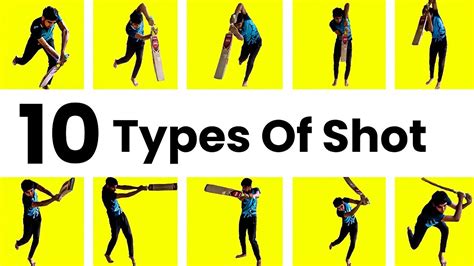 All Types Of Cricket Shot 🏏 Youtube