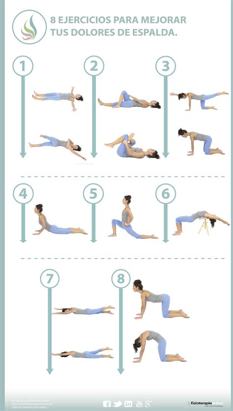 Aprende útiles ejercicios para aliviar tus dolores de espalda Fisioterapia Online