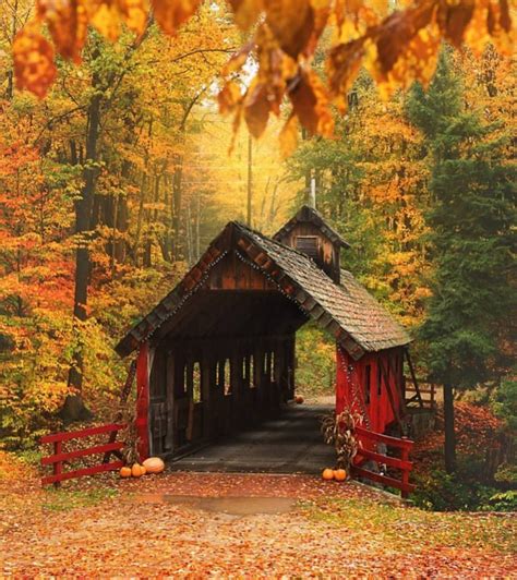 Pin By Tina Summa On Fall Autumn Scenery Covered Bridges Fall Pictures