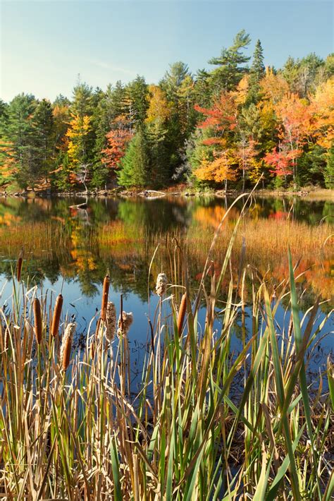 Autumn On Eagle Lake Eagle Lake Acadia National Park Ba Flickr