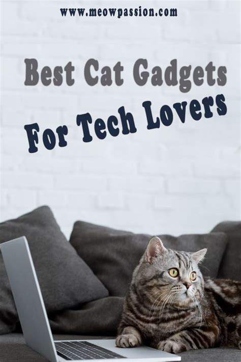 Best Cat Gadgets For Tech Lovers Check Out Some Of The