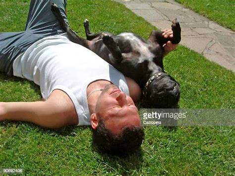 funny sunbathing photos and premium high res pictures getty images
