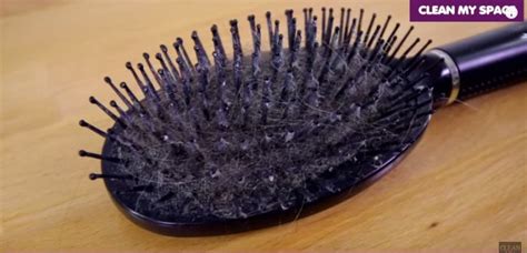 The Quick And Easy Way To Clean Your Hairbrush Tiphero