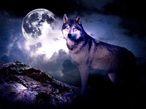 Wolf And Moon Wallpaper Wallpapersafari