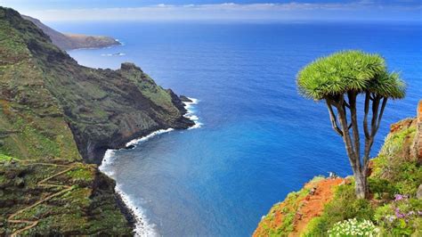 Este año se celebra del 24 de mayo al 30 de mayo de 2021. Día de Canarias: ¿por qué se celebra el 30 de mayo?