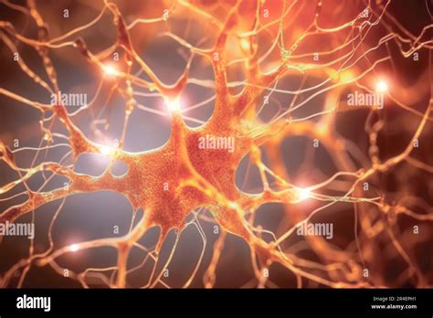 Neuronas Excitatorias Fotografías E Imágenes De Alta Resolución Alamy
