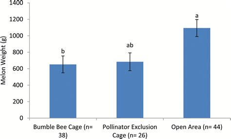 Mason Bee Edu Educator Modules Mason Bees As Pollinators