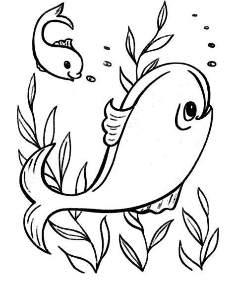 Get Coloring Pages Easy Images Colorist