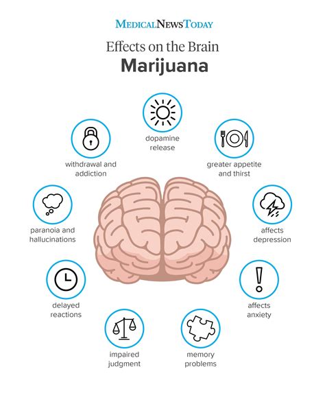 Physiological Effects Of Weed