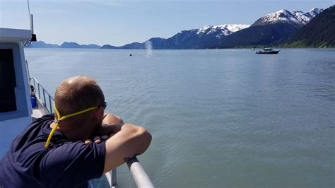 Alpenglow Charters Seward All You Need To Know Before You Go