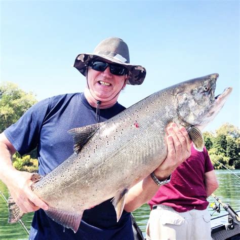 Sacramento River Salmon Fishing Feisty Fish Guide Service