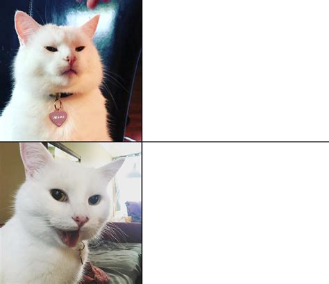 Screaming At Cat Meme Template