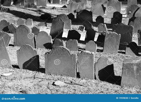 Rows Of Tombstones Bathed In Sunlight Old Graves In Bright Sunlight