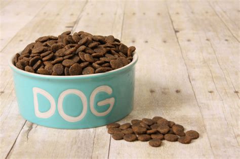 While there are various types of food products for your pet, dry dog food remains one of the most preferred, not only by pet owners but also by veterinarians. What Exactly is High Quality Dog Food? | Dog Training Nation