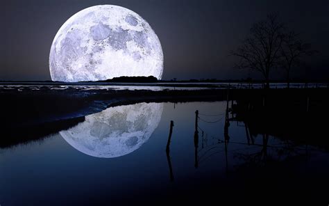 Full Moon Wallpapers Free Download Werohmedia