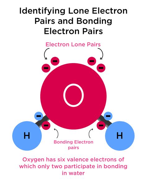 Lone Vs Bonding Electron Pairs — Comparison And Importance Expii
