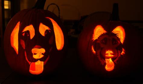 Babbling Brooke Dog Pumpkin Carving